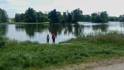 p1430884-1--3.jpg