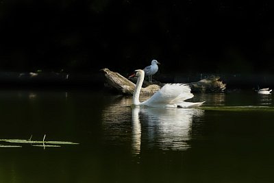 p1430919-1-e-2.jpg