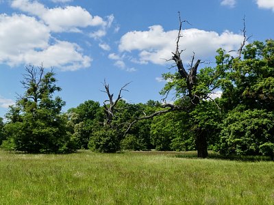 p1440105-1--2.jpg