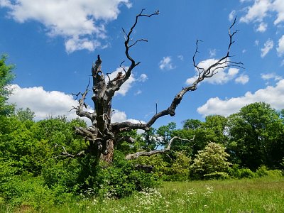 p1440111-1--2.jpg