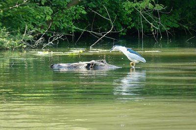 p1440188e.jpg