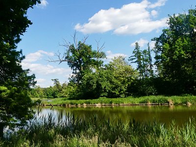 p1440220-1--1.jpg
