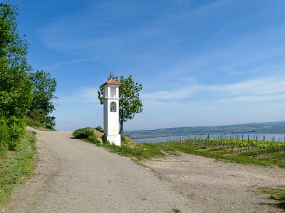 p1440238-1--1.jpg