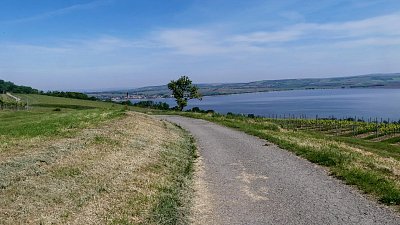 p1440239e-1.jpg