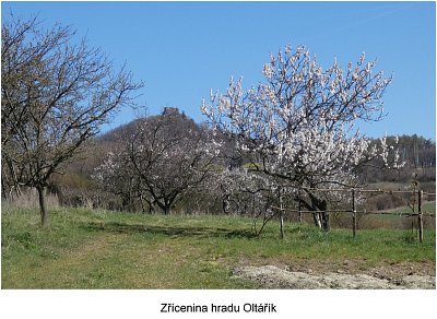 p1480486-oltarik.jpg