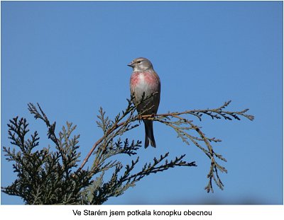 p1480563.jpg