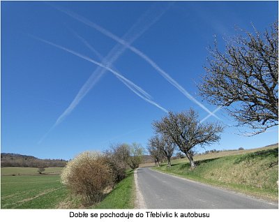 p1480584.jpg