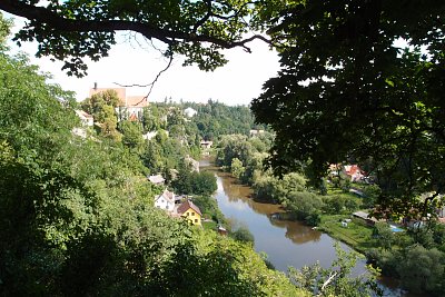 p8112225.jpg