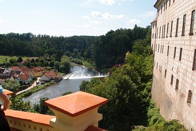 p8112232.jpg