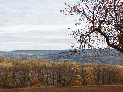pa291123-2.jpg