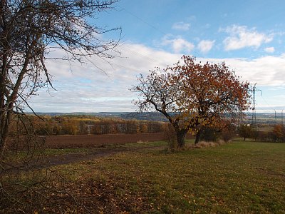 pa291124-2.jpg