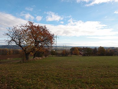 pa291125-2.jpg