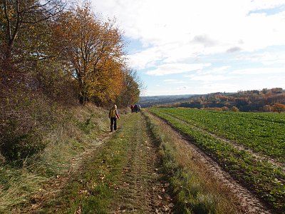 pa291137-2.jpg