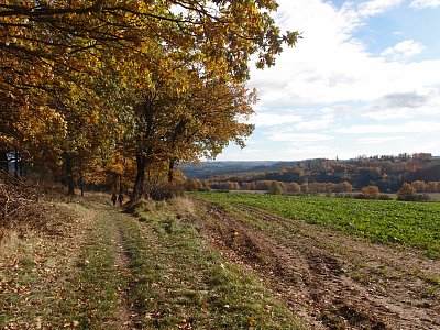 pa291139-2.jpg