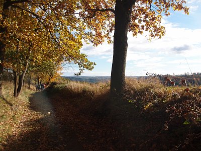 pa291141-2.jpg