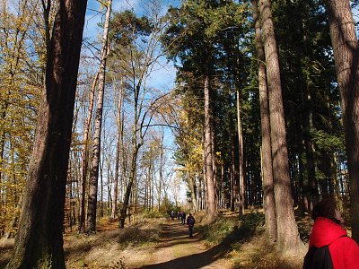 pa291150-2.jpg