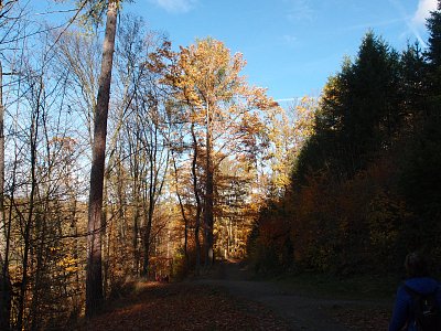pa291152-2.jpg