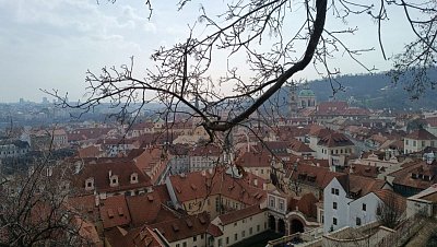 panorama