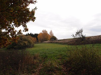 pb017904.jpg
