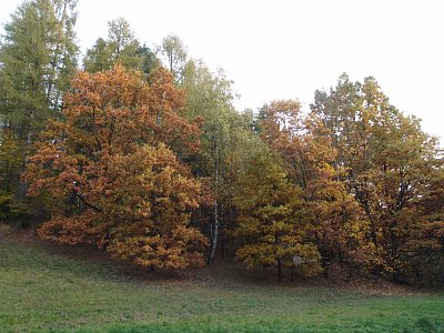 pb017910.jpg