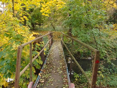pb017926.jpg