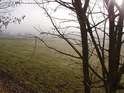 pb051159.jpg