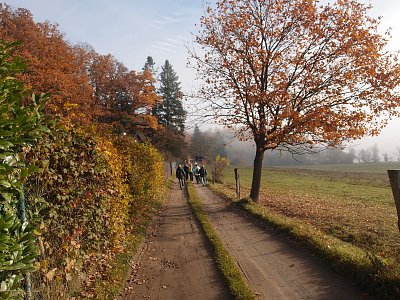 pb051160.jpg