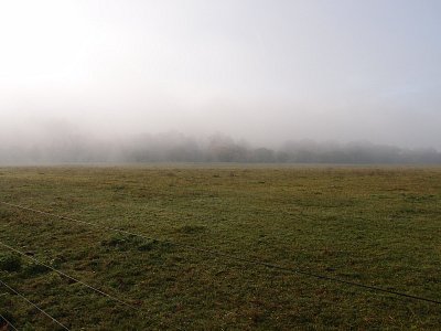 pb051163.jpg