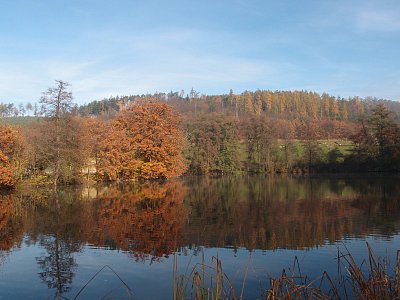 pb051172.jpg