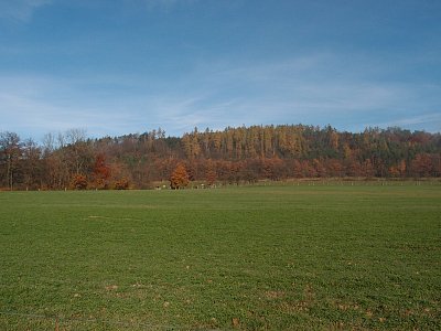 pb051180.jpg
