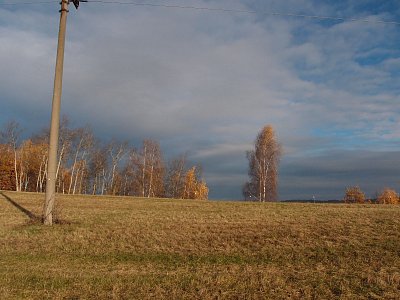 pb238002-1.jpg