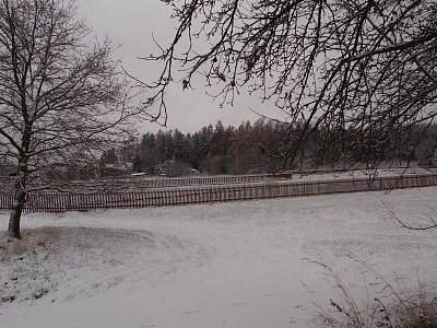 pb261289.jpg