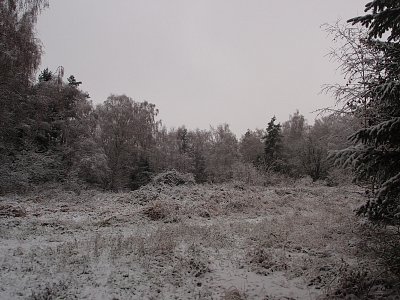 pb261301.jpg