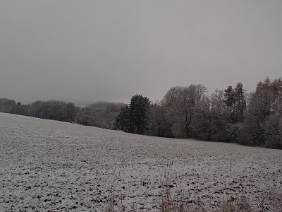 pb261308.jpg