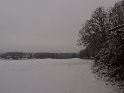 pb261313.jpg