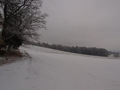 pb261315.jpg