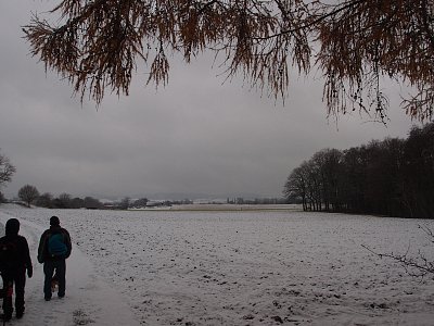 pb261327.jpg