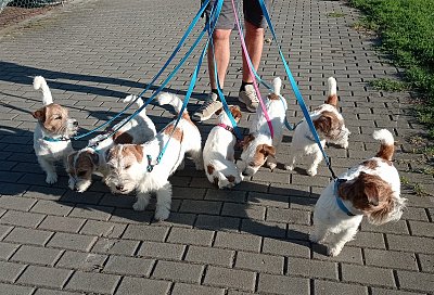 Povedená rodinka