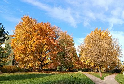 Barevný park