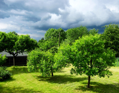 Před bouři