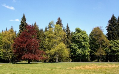 priroda-barevna.jpg