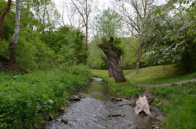 prokopske-udoli-002.jpg