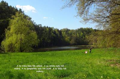prvni-rybnik.jpg