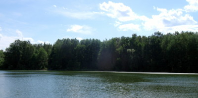 Letní rybník
