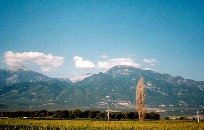 scan0004.jpg