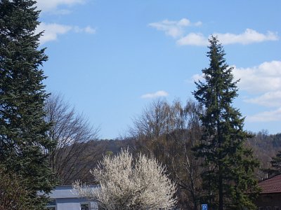 Jarní krása