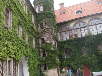 sdc10088-1.jpg