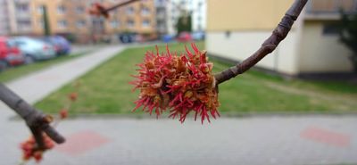 Sídlištní poezie