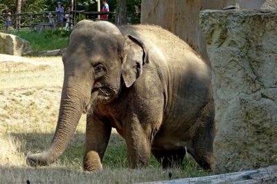 Pozvánka do ZOO 1