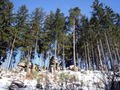 sluncem ozářené